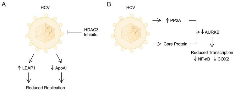 https://cdn.ncbi.nlm.nih.gov/pmc/blobs/0231/11352264/31951ac4e819/biomolecules-14-00986-g001.jpg