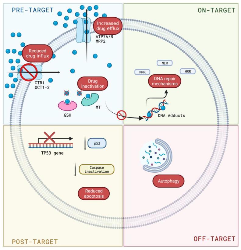 https://cdn.ncbi.nlm.nih.gov/pmc/blobs/0232/9599500/99b78df12bee/biomolecules-12-01365-g002.jpg
