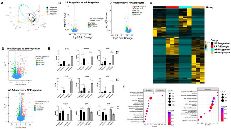 https://cdn.ncbi.nlm.nih.gov/pmc/blobs/0233/12026431/85f72e3eef8c/cells-14-00579-g002.jpg