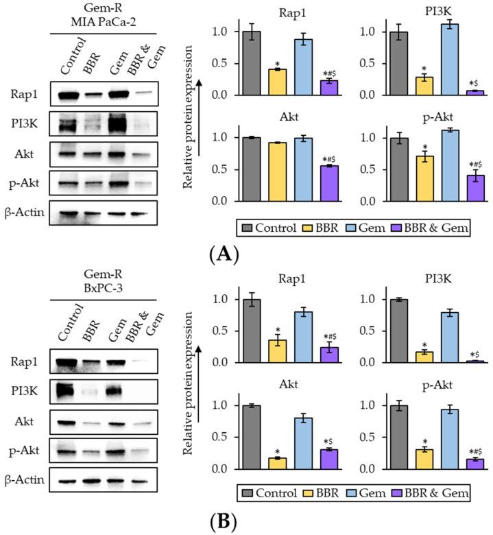 https://cdn.ncbi.nlm.nih.gov/pmc/blobs/0242/9611392/2e5cfe365e1a/pharmaceuticals-15-01199-g005.jpg