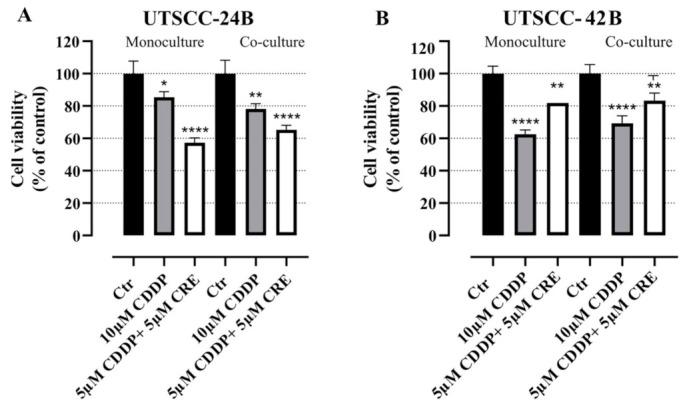 https://cdn.ncbi.nlm.nih.gov/pmc/blobs/0256/10670464/148f06d7331e/cancers-15-05320-g006.jpg