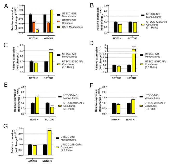 https://cdn.ncbi.nlm.nih.gov/pmc/blobs/0256/10670464/14b46fee333e/cancers-15-05320-g005.jpg