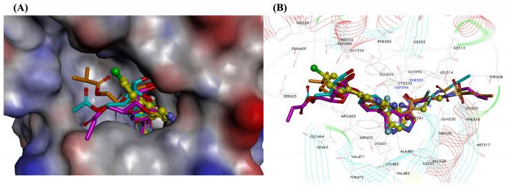 https://cdn.ncbi.nlm.nih.gov/pmc/blobs/0272/10343629/bfafbef26e03/molecules-28-05273-g003.jpg