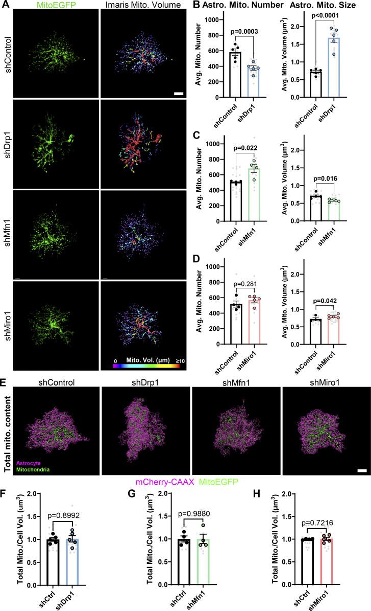 https://cdn.ncbi.nlm.nih.gov/pmc/blobs/028e/12406776/cef2edba4392/jcb_202410130_figs2.jpg