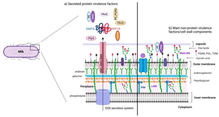 https://cdn.ncbi.nlm.nih.gov/pmc/blobs/0298/10304248/749a1549be97/pathogens-12-00839-g001.jpg