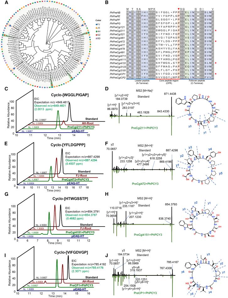 https://cdn.ncbi.nlm.nih.gov/pmc/blobs/02ba/12143145/e09aa5b6af68/gr6.jpg