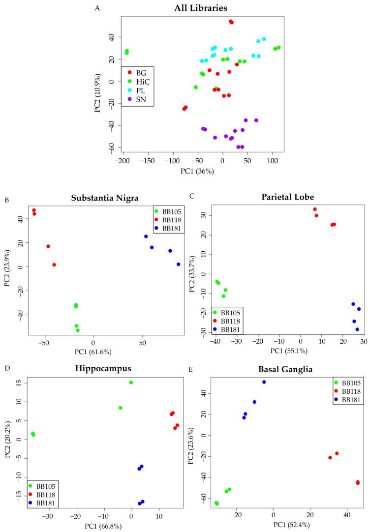 https://cdn.ncbi.nlm.nih.gov/pmc/blobs/02bd/9313121/0440148e35dd/biomedicines-10-01687-g002.jpg