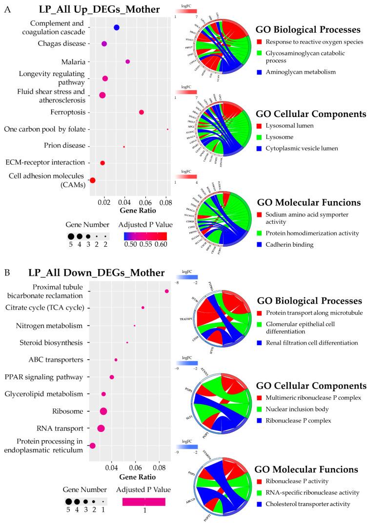 https://cdn.ncbi.nlm.nih.gov/pmc/blobs/02bd/9313121/502d8d9bfd0d/biomedicines-10-01687-g005.jpg