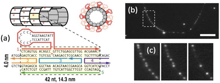 https://cdn.ncbi.nlm.nih.gov/pmc/blobs/02c5/5312861/dbe9feccfaef/nanomaterials-05-00180-g010.jpg