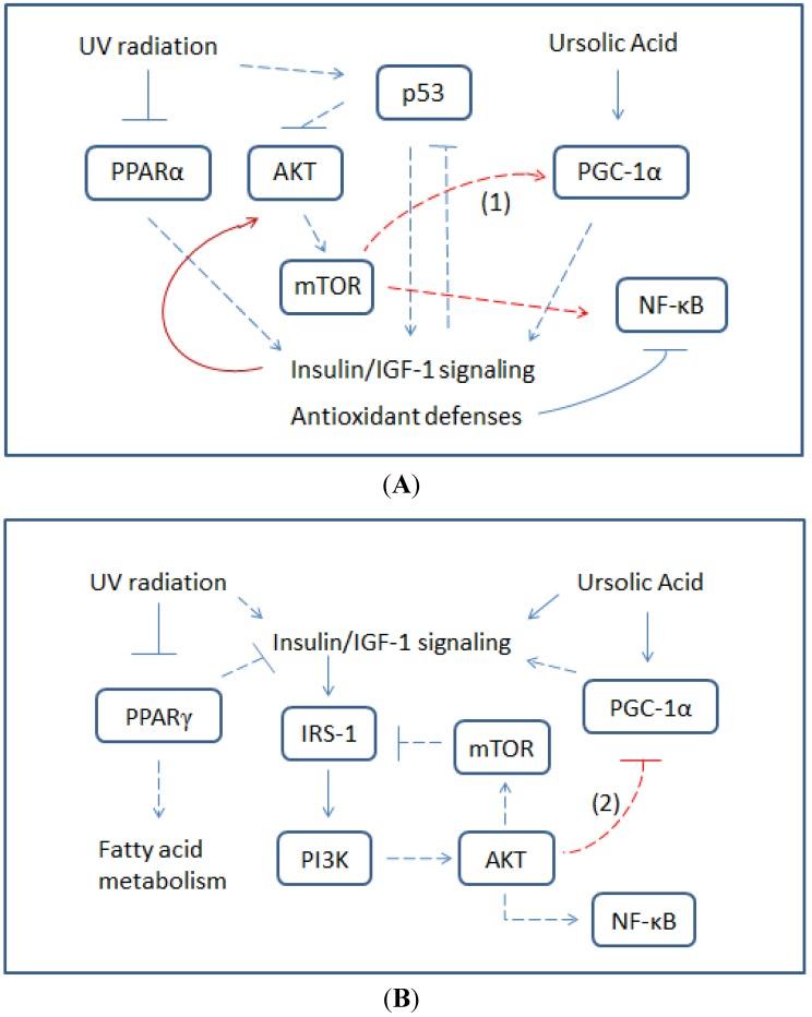 https://cdn.ncbi.nlm.nih.gov/pmc/blobs/02ca/5302752/baa6a4341a8e/proteomes-02-00399-g003.jpg