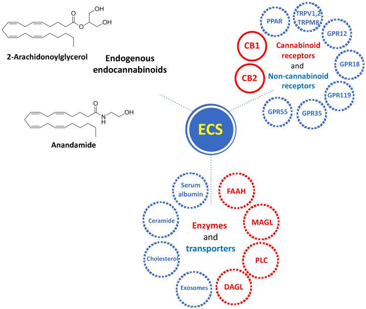 https://cdn.ncbi.nlm.nih.gov/pmc/blobs/02d0/11119469/5d3336781f13/cells-13-00875-g002.jpg