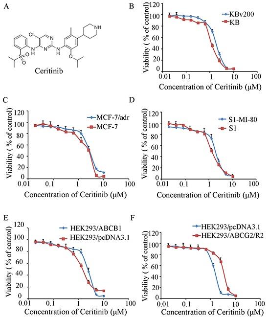 https://cdn.ncbi.nlm.nih.gov/pmc/blobs/02e5/4792582/22b858d963a1/oncotarget-06-44643-g001.jpg