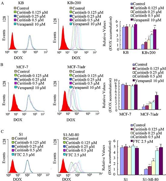 https://cdn.ncbi.nlm.nih.gov/pmc/blobs/02e5/4792582/3c03de661c6a/oncotarget-06-44643-g003.jpg