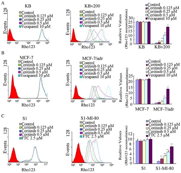 https://cdn.ncbi.nlm.nih.gov/pmc/blobs/02e5/4792582/c5c3ee4a0272/oncotarget-06-44643-g004.jpg