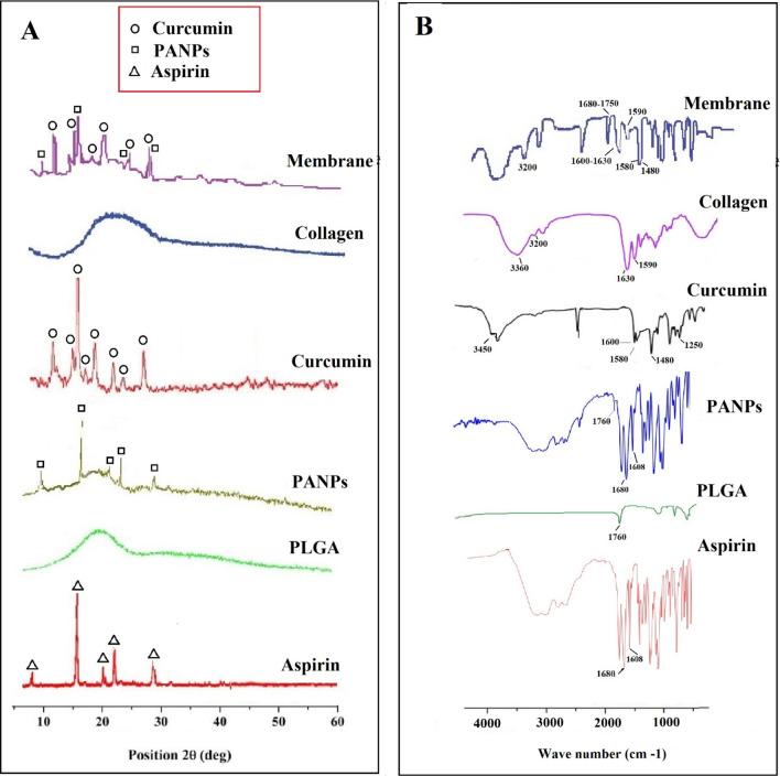 https://cdn.ncbi.nlm.nih.gov/pmc/blobs/02f3/7584591/3a0e59222c7c/41598_2020_75454_Fig5_HTML.jpg