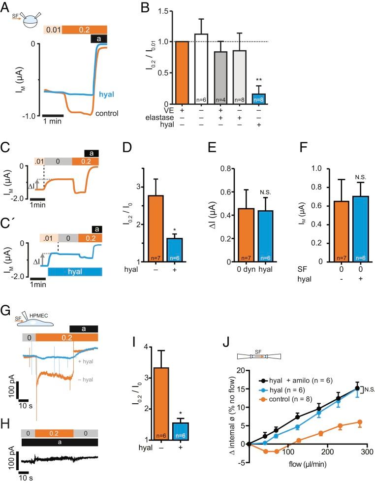 https://cdn.ncbi.nlm.nih.gov/pmc/blobs/0316/6955349/77b0295d1df5/pnas.1911243117fig02.jpg