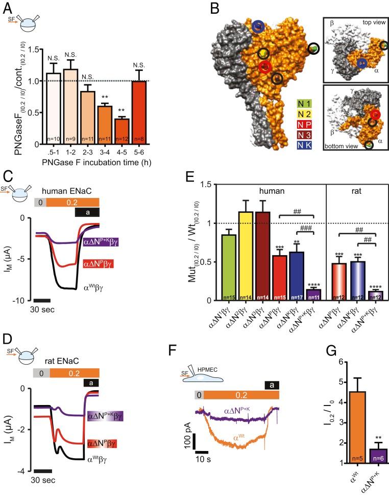 https://cdn.ncbi.nlm.nih.gov/pmc/blobs/0316/6955349/fde1d3e236de/pnas.1911243117fig03.jpg