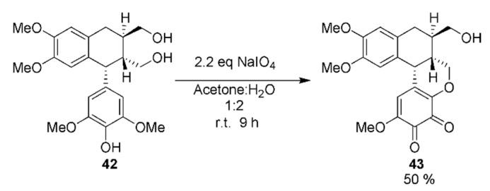 https://cdn.ncbi.nlm.nih.gov/pmc/blobs/0320/6359405/16c9eea1ccec/molecules-24-00300-sch022.jpg