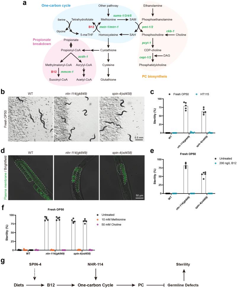 https://cdn.ncbi.nlm.nih.gov/pmc/blobs/0349/11749705/90f42c5d074d/loac021_fig3.jpg