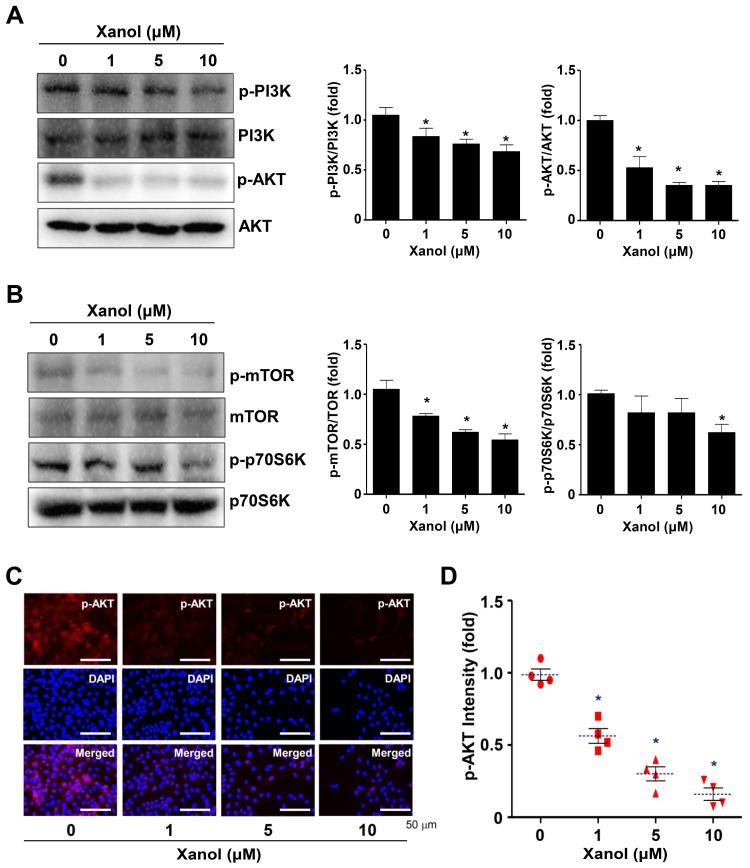 https://cdn.ncbi.nlm.nih.gov/pmc/blobs/034f/10340602/6093a1e5f55b/cells-12-01768-g003.jpg