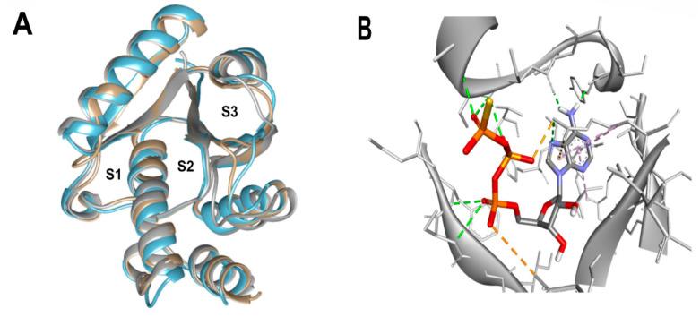 https://cdn.ncbi.nlm.nih.gov/pmc/blobs/035c/10779913/a37166474cd3/molecules-29-00203-g001.jpg
