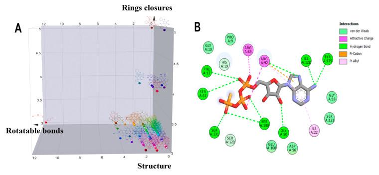 https://cdn.ncbi.nlm.nih.gov/pmc/blobs/035c/10779913/f51fe3b7df8a/molecules-29-00203-g002.jpg