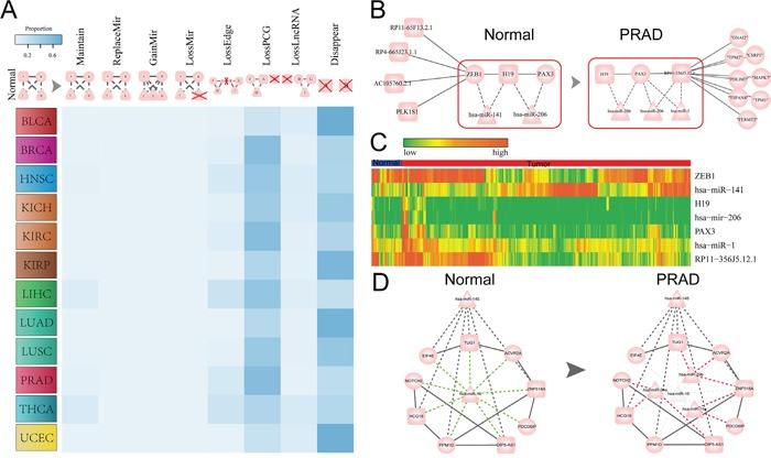https://cdn.ncbi.nlm.nih.gov/pmc/blobs/0376/5325432/8d91501c15b6/oncotarget-07-64148-g005.jpg