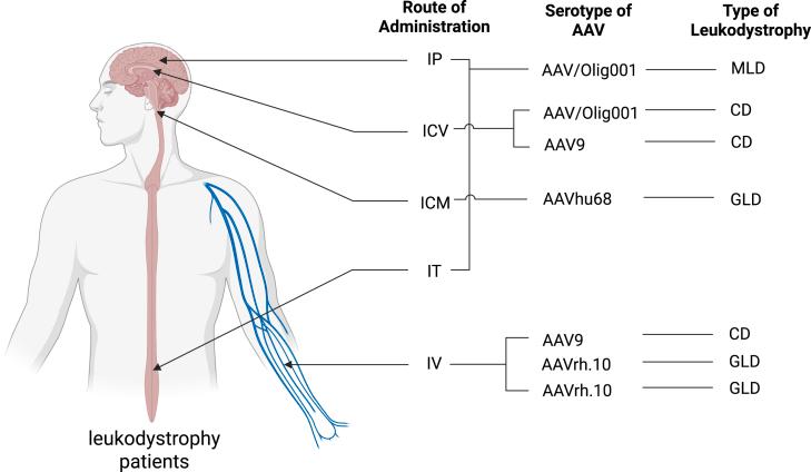 https://cdn.ncbi.nlm.nih.gov/pmc/blobs/0380/12361609/293d67661564/gr5.jpg