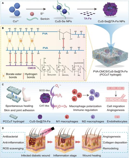 https://cdn.ncbi.nlm.nih.gov/pmc/blobs/03df/12099055/b88b6b7ce192/bmr.0208.fig.001.jpg