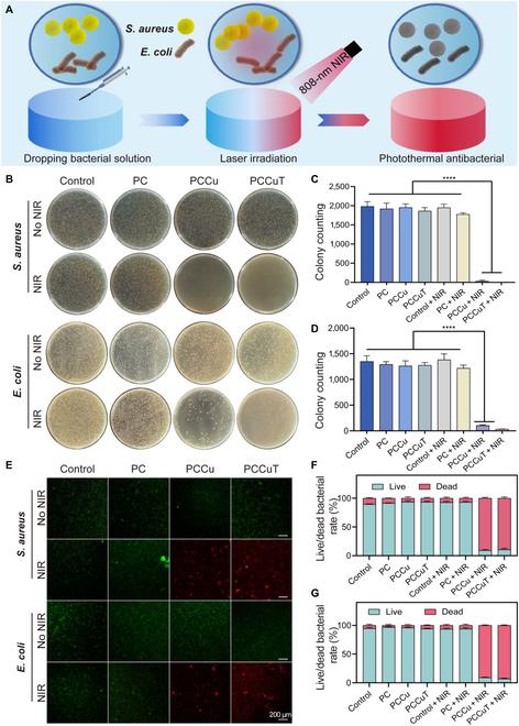 https://cdn.ncbi.nlm.nih.gov/pmc/blobs/03df/12099055/f0fd192cbce7/bmr.0208.fig.006.jpg
