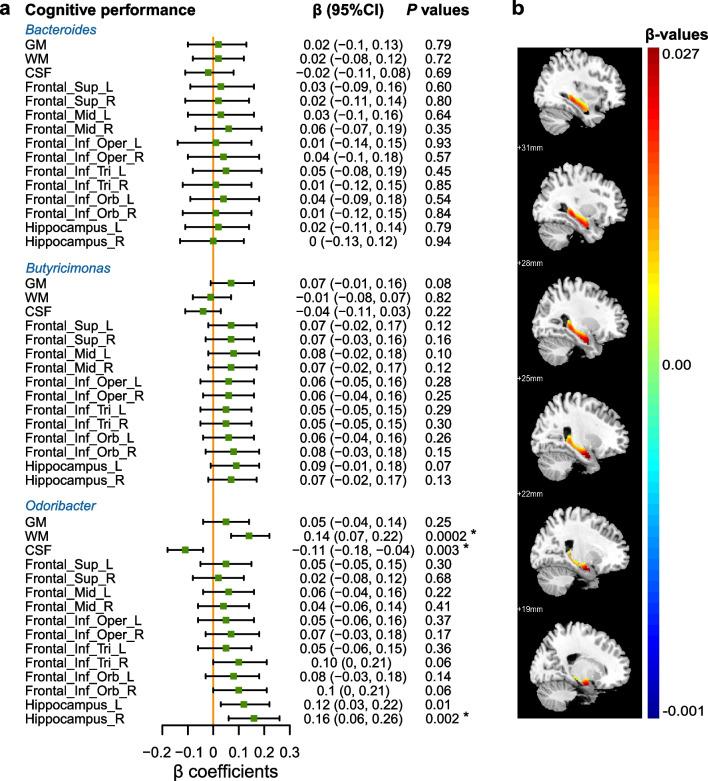 https://cdn.ncbi.nlm.nih.gov/pmc/blobs/03ef/9661756/2685306e44fc/40035_2022_323_Fig4_HTML.jpg