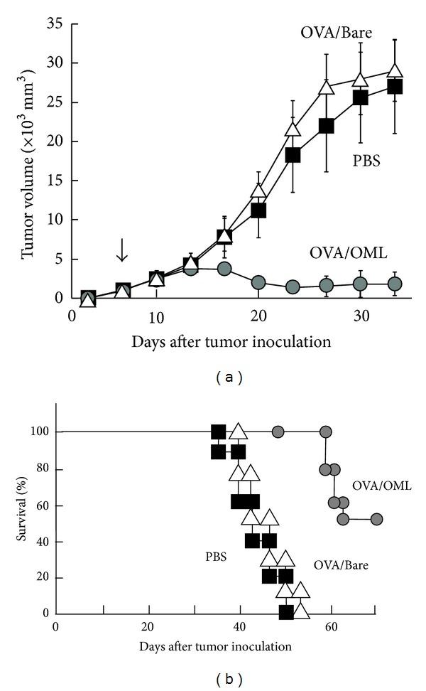 https://cdn.ncbi.nlm.nih.gov/pmc/blobs/03f0/3810488/4b81082e1d8a/BMRI2013-562924.004.jpg