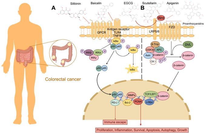 https://cdn.ncbi.nlm.nih.gov/pmc/blobs/03f4/11884236/352e0ab7143b/mmr-31-04-13474-g09.jpg