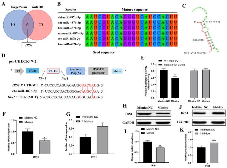 https://cdn.ncbi.nlm.nih.gov/pmc/blobs/040c/8745444/d4eae195cb89/ijms-23-00115-g004.jpg