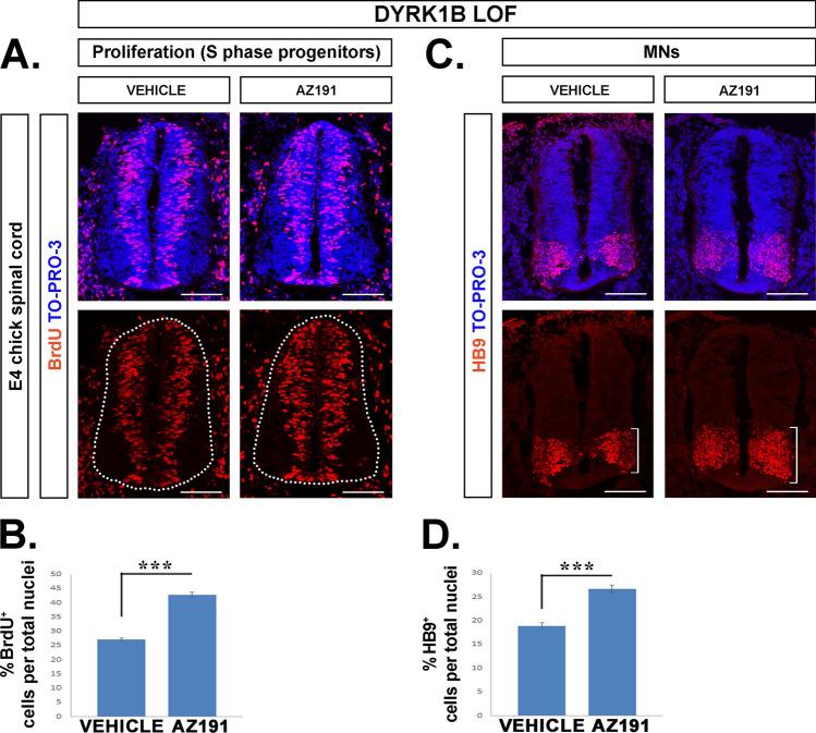 https://cdn.ncbi.nlm.nih.gov/pmc/blobs/041e/11072594/e7353e3304a7/18_2023_5097_Fig5_HTML.jpg