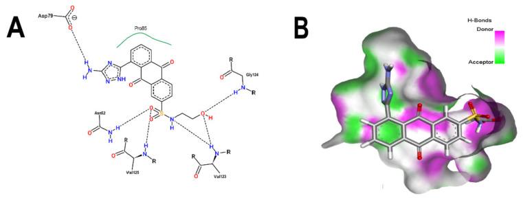 https://cdn.ncbi.nlm.nih.gov/pmc/blobs/042a/9783175/b2ecf940e67c/microorganisms-10-02434-g004.jpg