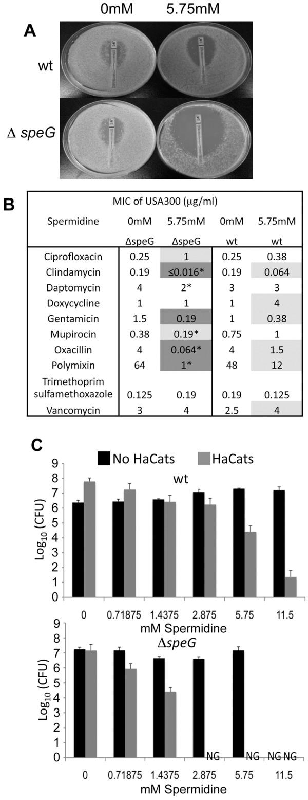 https://cdn.ncbi.nlm.nih.gov/pmc/blobs/048e/3870260/8e424867b24b/mbo0061316900006.jpg
