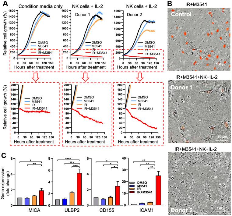 https://cdn.ncbi.nlm.nih.gov/pmc/blobs/04a6/9925676/7b05d0591493/aging-15-204487-g005.jpg