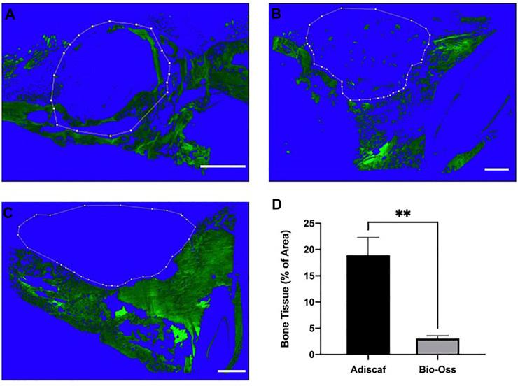 https://cdn.ncbi.nlm.nih.gov/pmc/blobs/04c6/8957819/0b92ba63102f/fbioe-10-841690-g005.jpg