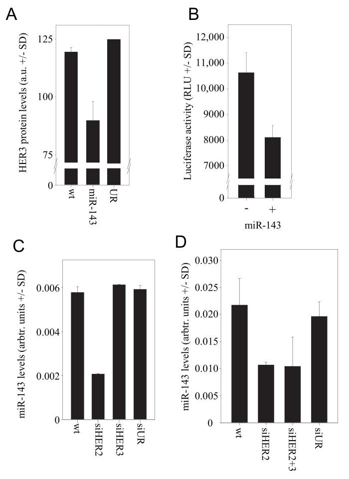 https://cdn.ncbi.nlm.nih.gov/pmc/blobs/04dd/7911202/1a415d42bf20/cells-10-00272-g003.jpg