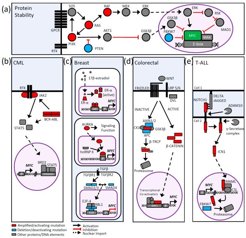 https://cdn.ncbi.nlm.nih.gov/pmc/blobs/04e3/5485515/f3ac826e814f/genes-08-00151-g004.jpg
