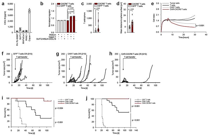 https://cdn.ncbi.nlm.nih.gov/pmc/blobs/04ee/7611996/1b8444ac2792/EMS123298-f004.jpg