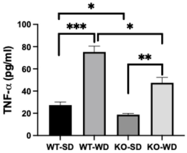https://cdn.ncbi.nlm.nih.gov/pmc/blobs/050d/12388654/224fc930c7bb/metabolites-15-00524-g005.jpg