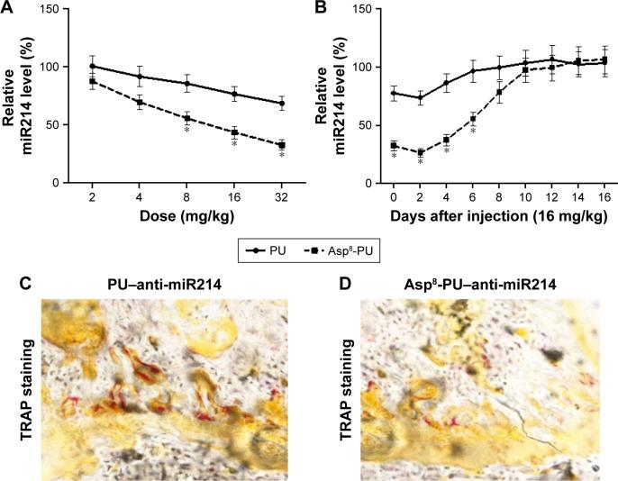 https://cdn.ncbi.nlm.nih.gov/pmc/blobs/051f/5648312/d153d4d90b34/ijn-12-7469Fig4.jpg