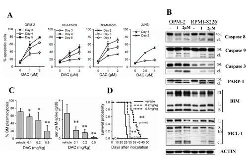 https://cdn.ncbi.nlm.nih.gov/pmc/blobs/0523/4102796/353df0711896/oncotarget-05-3115-g001.jpg