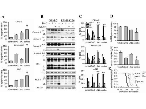 https://cdn.ncbi.nlm.nih.gov/pmc/blobs/0523/4102796/6422053e2def/oncotarget-05-3115-g004.jpg