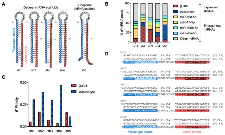 https://cdn.ncbi.nlm.nih.gov/pmc/blobs/0561/12029666/87ea54d05e35/mps-08-00038-g007.jpg