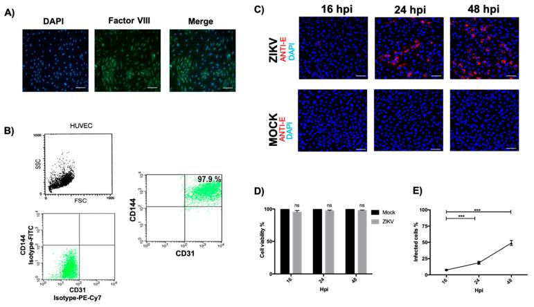 https://cdn.ncbi.nlm.nih.gov/pmc/blobs/0562/12196285/43224bd8efbf/microorganisms-13-01402-g001.jpg
