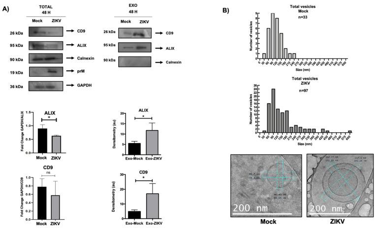 https://cdn.ncbi.nlm.nih.gov/pmc/blobs/0562/12196285/768937efcd4d/microorganisms-13-01402-g006.jpg