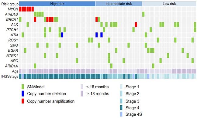 https://cdn.ncbi.nlm.nih.gov/pmc/blobs/056d/5542239/8865e0b8d542/oncotarget-08-45943-g003.jpg
